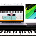 App Học Đàn Piano Cho Người Mới Bắt Đầu