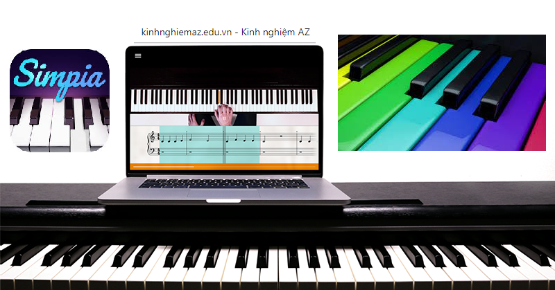 App Học Đàn Piano Cho Người Mới Bắt Đầu