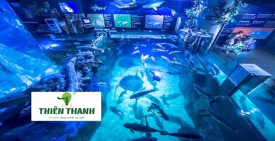 Khám Phá Du Lịch Malaysia - Thủy Cung Aquaria KLCC