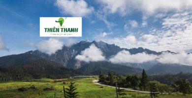 Khám Phá Du Lịch Malaysia - Trang Trại Núi Kinabalu