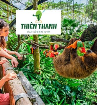 Khám Phá Du lịch Singapore - Sở Thú Singapore