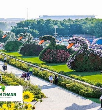 Khám Phá Du Lịch Dubai - Dubai Miracle Garden