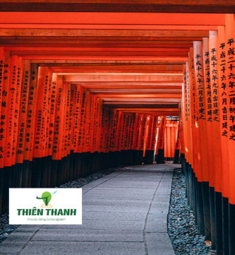 Khám Phá Du Lịch Nhật Bản - Đền Fushimi Inari Taisha, Kyoto
